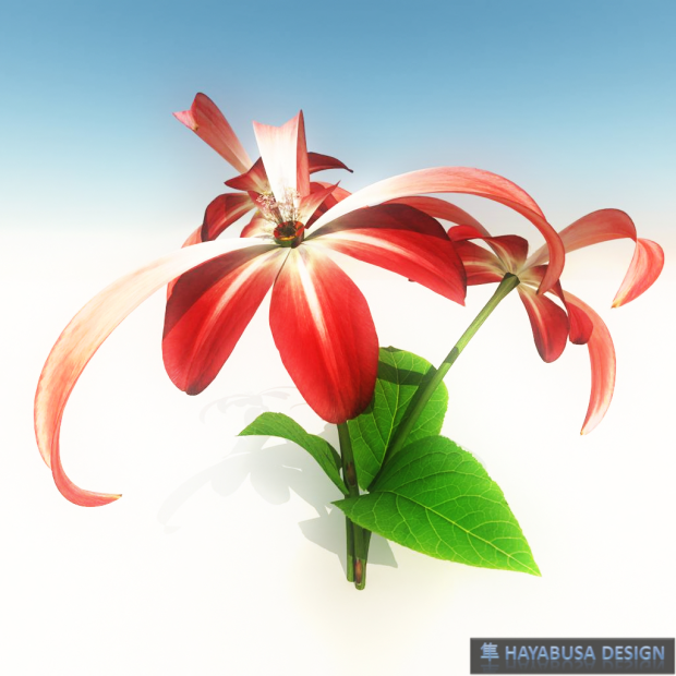 Hayabusa Design Hemerocallis Flower -2